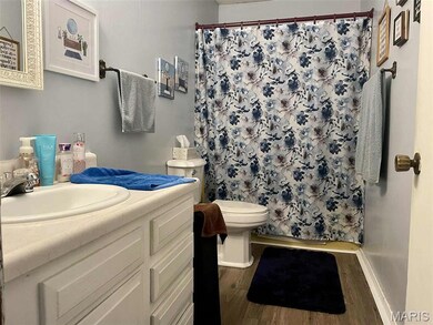 912 Daisy Dr, Dexter, MO 63841 - photo 7