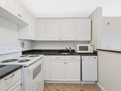 10 Riverside St unit 3-2, Watertown, MA 02472 - photo 5
