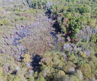 0 Highway 8, Aberdeen, MS 39730 - photo 7