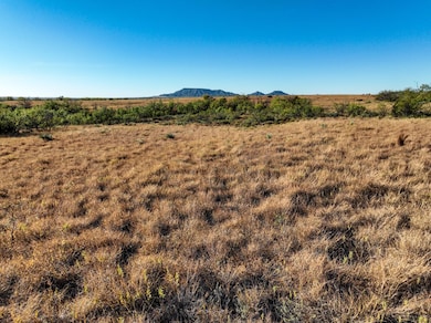 4824 Cr 434, Peacock, TX 79502 - photo 4