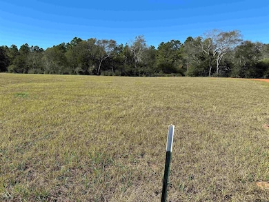 13B  / TBD Old Spanish Trial Dr, Alto, TX 75925 - photo 2