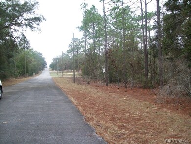 1870 E Bismark St, Hernando, FL 34442 - photo 5