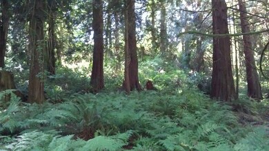 18120 Olive Ave, Stanwood, WA 98292 - photo 2