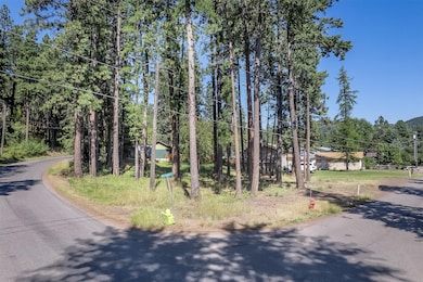 Nhn Yenne Point Rd, Bigfork, MT 59911 - photo 2