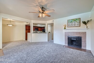1331 W Baseline Rd unit 227, Mesa, AZ 85202 - photo 5