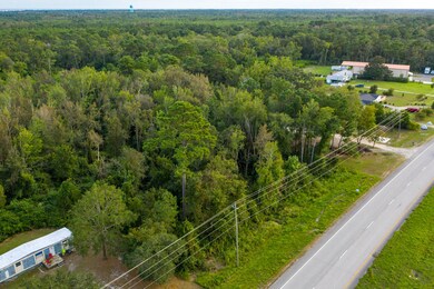 Lot Hwy. 17 #100191618-3