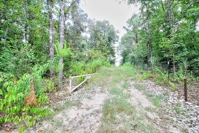 TBD Cr 751, Douglass, TX 75961 - photo 7