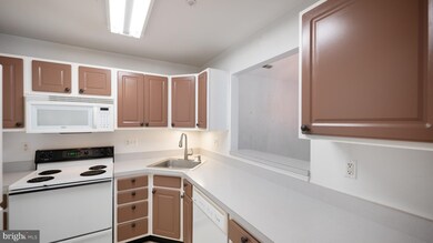 2023 Rudy Serra Dr unit 3B, Sykesville, MD 21784 - photo 6