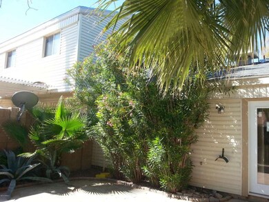 Back patio towards home