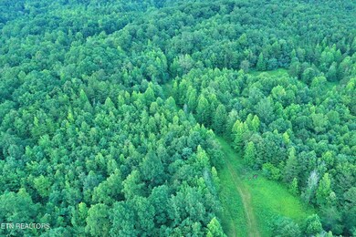 DJI_0592