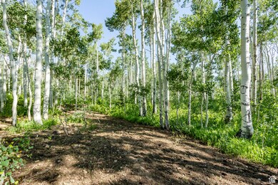 5156 N Pebble Dr unit 75, Midway, UT 84049 - photo 2