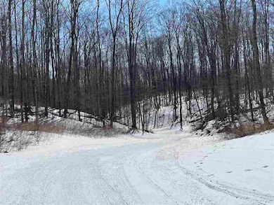 6060 Trillium Woods Dr unit 38, Harbor Springs, MI 49740 - photo 7