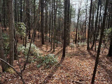 TBD Caution Tape Rd, Cana, VA 24317 - photo 7