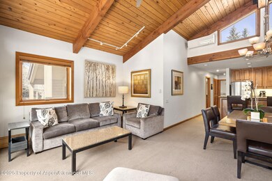 610 S West End St unit D-303, Aspen, CO 81611 - photo 3