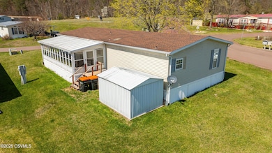 Rear Elevation with Shed