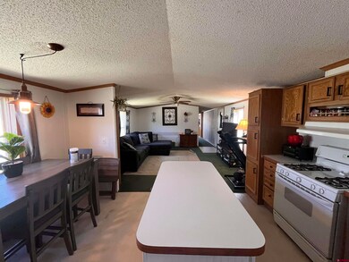 34344 Highway 160 unit 61, Durango, CO 81303 - photo 5