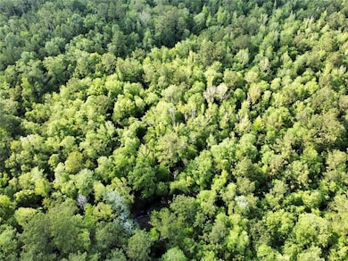 0 State Highway 59 unit 7239248, Bay Minette, AL 36507 - photo 3