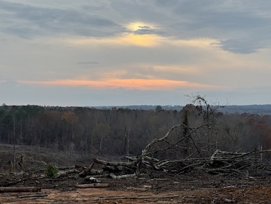 TBD Cr 442, Paris, MS 38949 - photo 2