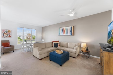 33788 Connecticut Ave, Frankford, DE 19945 - photo 4