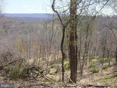 6 Mountain Run Rd, Moorefield, WV 26836 - photo 5