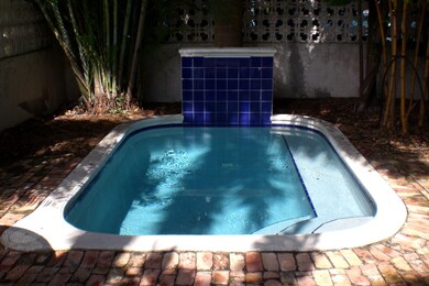 The pool with fountain