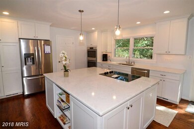 23394 New Mountain Rd, Aldie, VA 20105 - photo 2