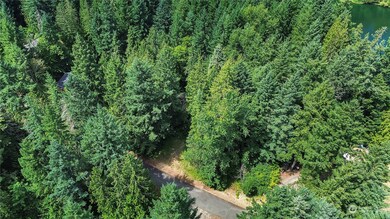 21900 183rd Ave SE, Yelm, WA 98597 - photo 3