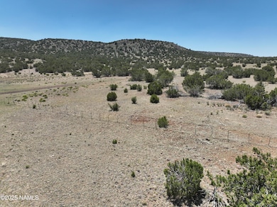 11139 Howard Mesa Loop, Williams, AZ 86046 - photo 3