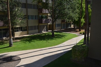 2 Grounds
