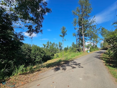 Km 1.65 Calle Reinita unit Parcela A, Moca, PR 00676 - photo 5