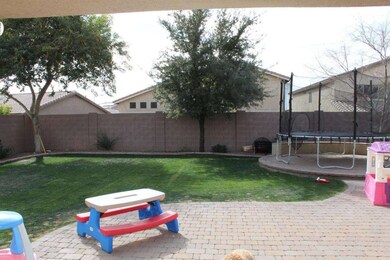 Backyard 3