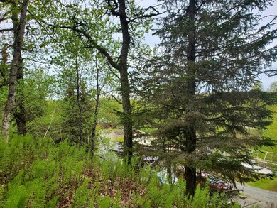 Treed Lot