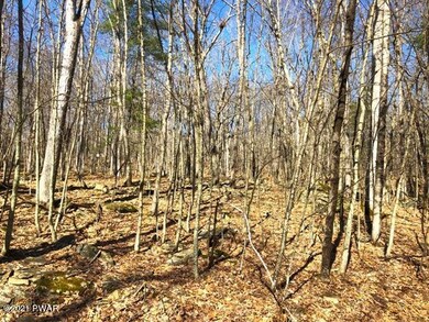 813-814 Tink Wig Dr, Lackawaxen Township, PA 18428 - photo 2