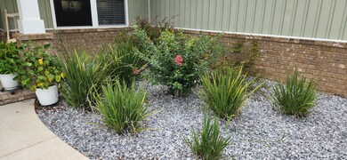 Great landscaping