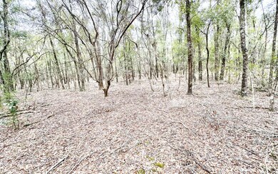 10 NE Tansy Road Lot 29, Mayo, FL 32066 - photo 2
