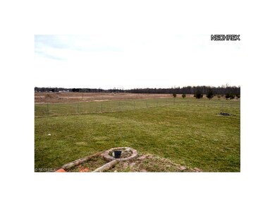 Back Yard looking to the left.