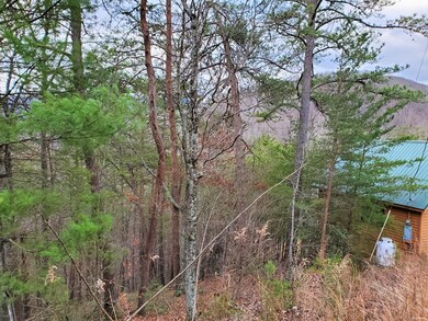 Neighbor cabin