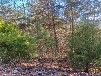 00 Fowler Rd unit 2A-2E, Mill Spring, NC 28756 - photo 2