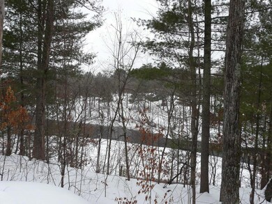 30406 Minerva Rd, Danbury, WI 54830 - photo 4