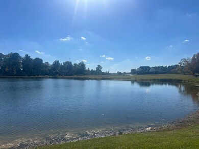 0 Belflower Rd unit 25624433, Tifton, GA 31794 - photo 6