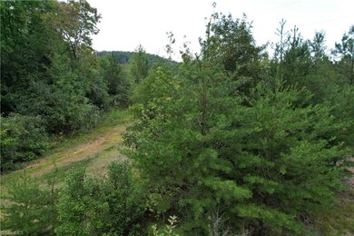 00 Coggins Mine Rd, Troy, NC 27371 - photo 7