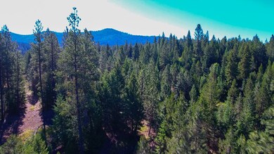 TBD4 Clear Creek Rd, Cascade, ID 83611 - photo 3