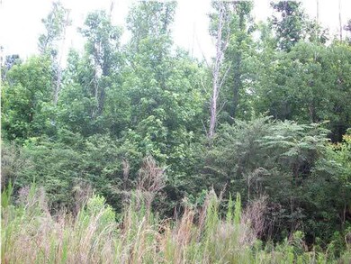 LOT #8 Edgewood Ct, Atmore, AL 36502 - photo 4