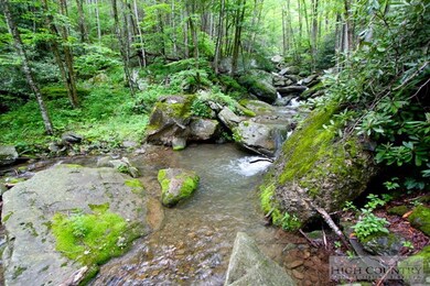 207 Woodwinds Ln, Seven Devils, NC 28604 - photo 5