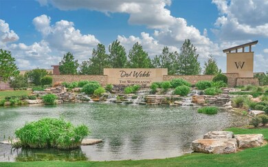 155 Chestnut Bay, the Woodlands, TX 77382 - photo 3