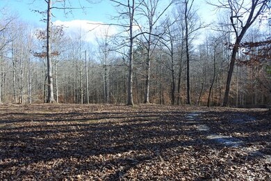 130 Johnny Bilbrey Ln, Cookeville, TN 38506 - photo 2