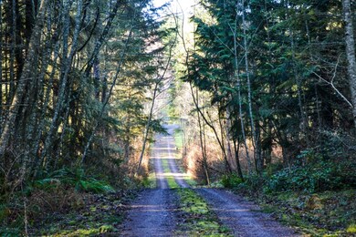 154 Wild Plum Rd, ChiMacUm, WA 98325 - photo 2