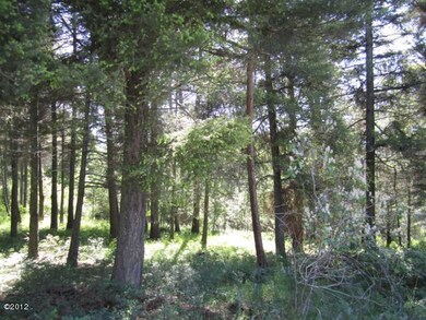 Nhn Lakeview Terrace, Bigfork, MT 59911 - photo 4