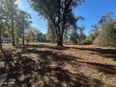 2836 Appalachee Trail, Marianna, FL 32446 - photo 5