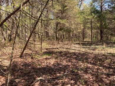 0 Highway Hh - 10 02 Acres, Robertsville, MO 63072 - photo 6